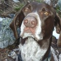 Johnson, Rodie - pic for website